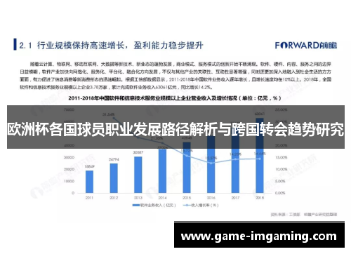 欧洲杯各国球员职业发展路径解析与跨国转会趋势研究