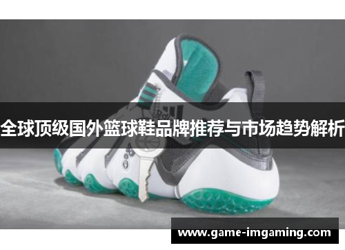 全球顶级国外篮球鞋品牌推荐与市场趋势解析