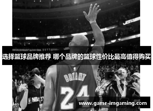 选择篮球品牌推荐 哪个品牌的篮球性价比最高值得购买