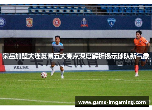 宋岳加盟大连英博五大亮点深度解析揭示球队新气象