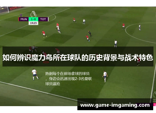 如何辨识魔力鸟所在球队的历史背景与战术特色