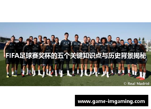 FIFA足球赛奖杯的五个关键知识点与历史背景揭秘