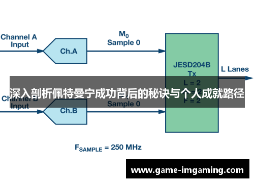 深入剖析佩特曼宁成功背后的秘诀与个人成就路径