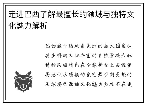 走进巴西了解最擅长的领域与独特文化魅力解析